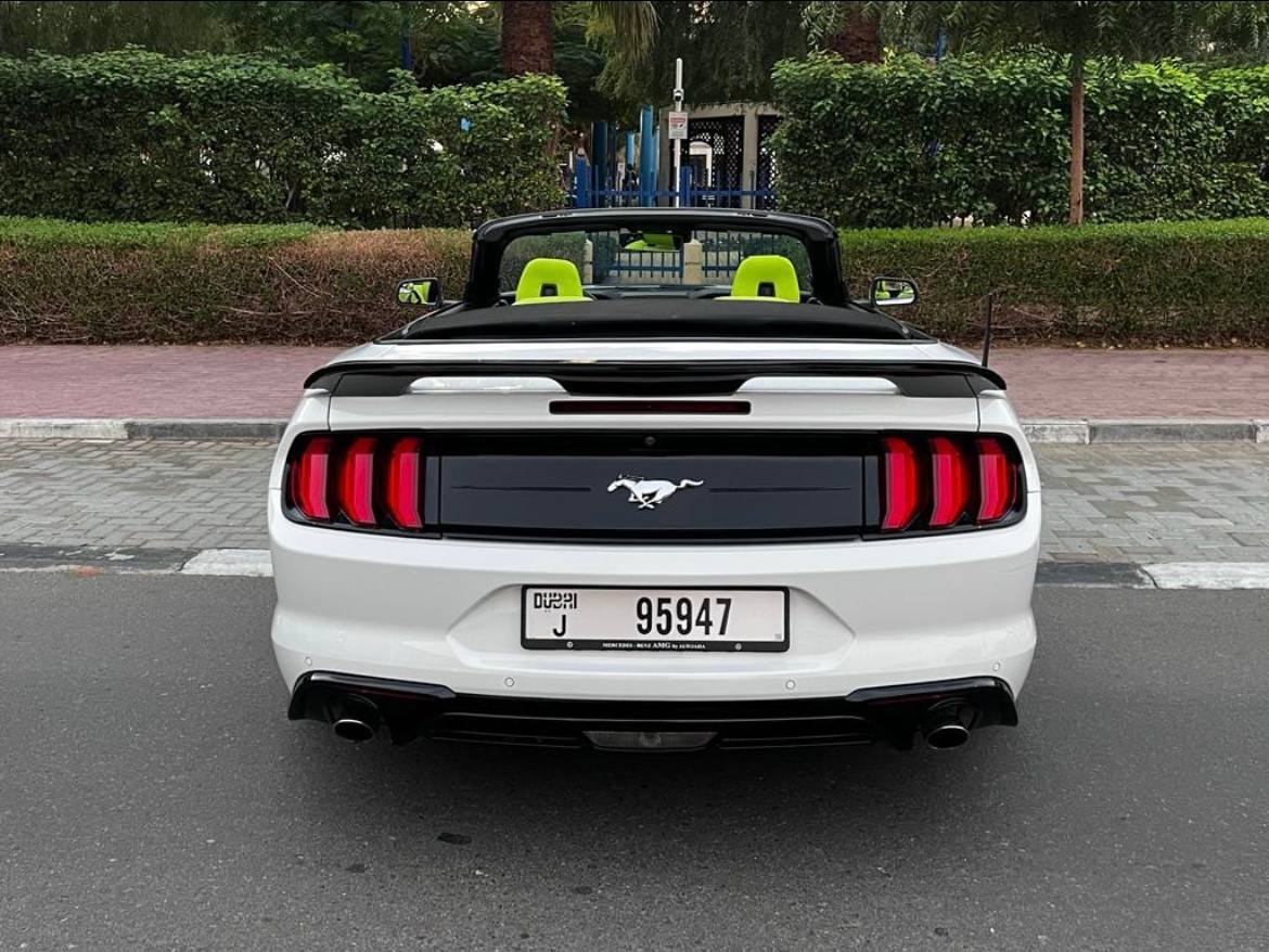 Ford Mustang (White)