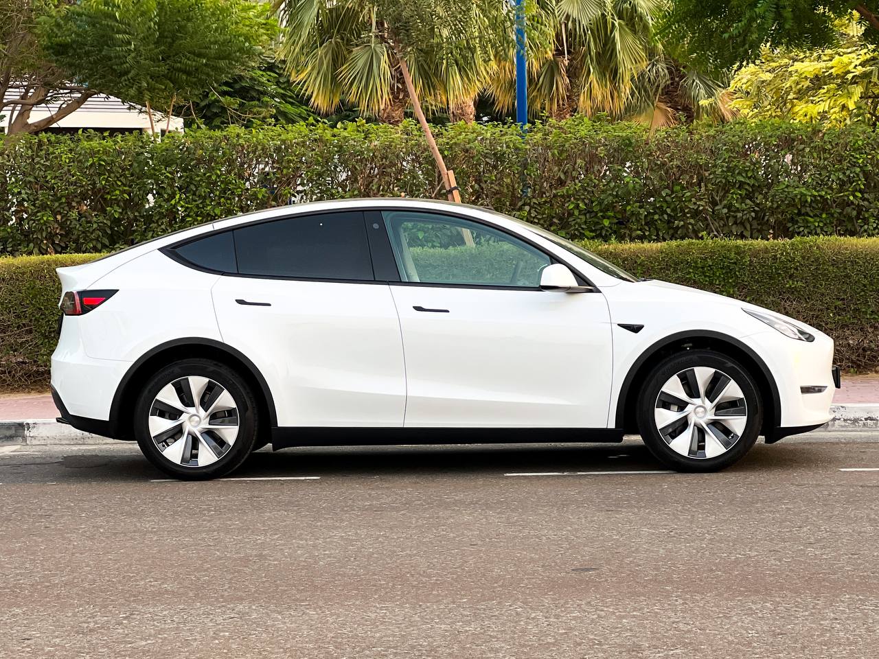 Tesla model y